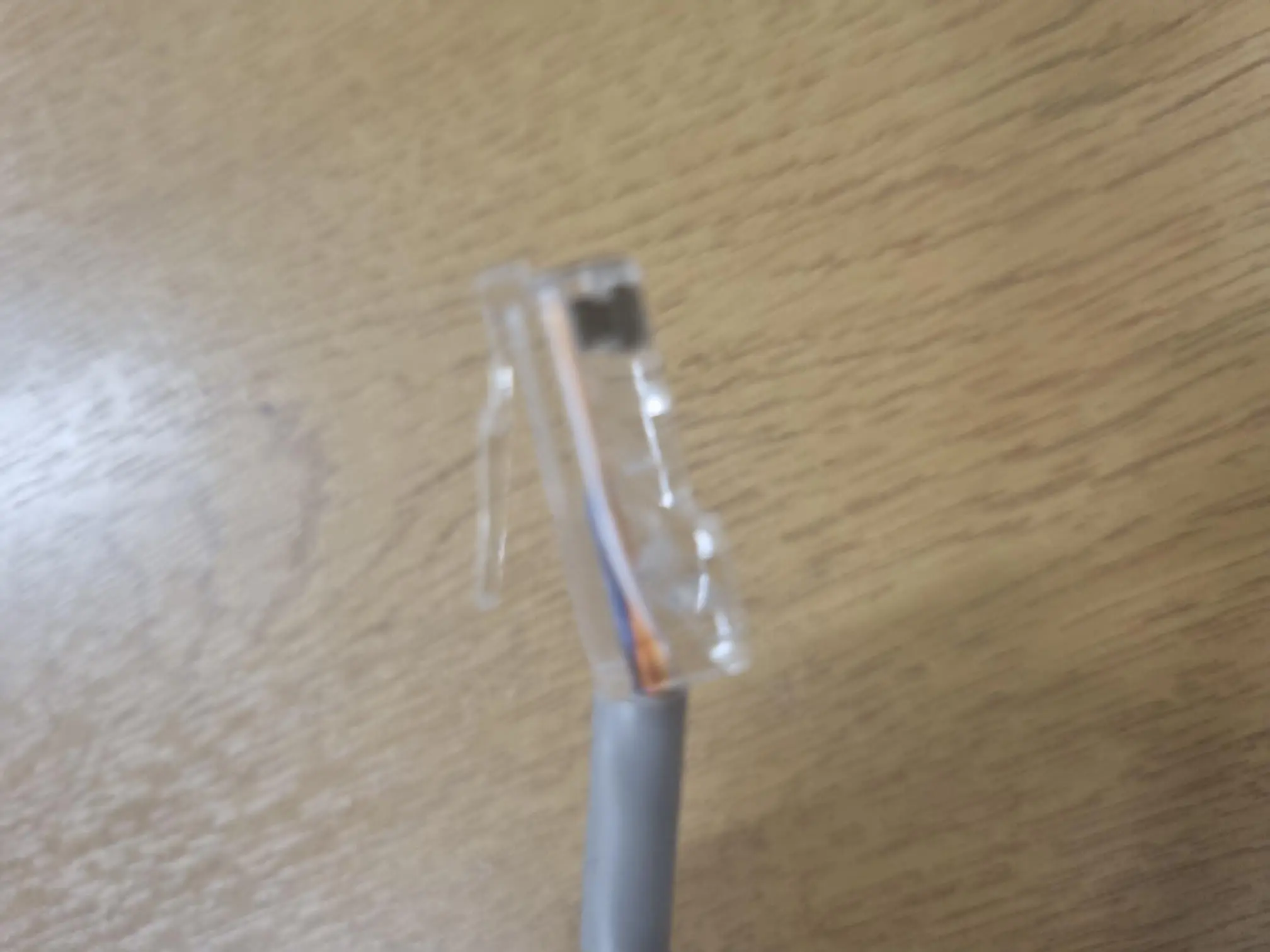 A close-up shot of the clear plastic end of a gray Ethernet cable, showing the internal colored wires.