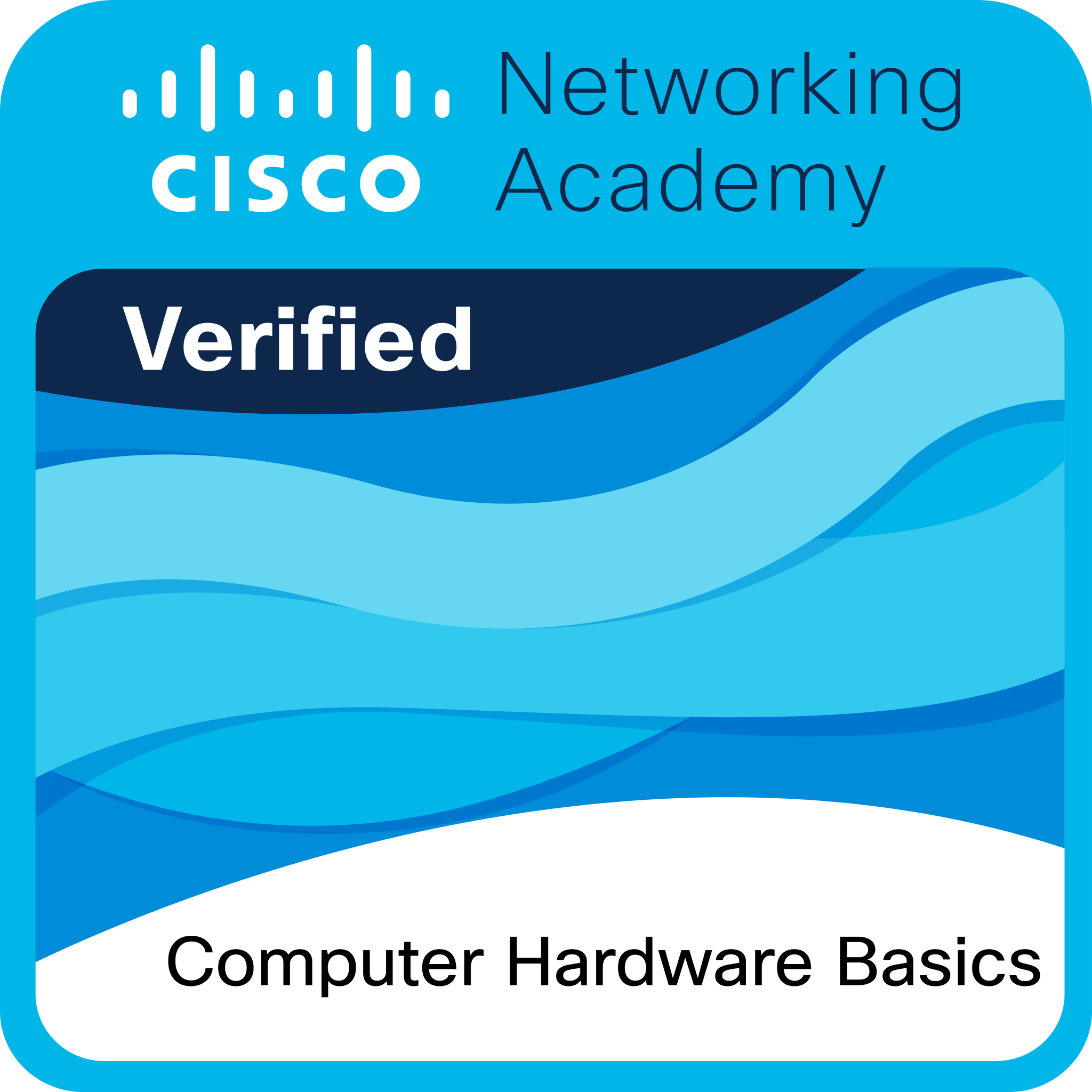 Badge from Cisco Networking Academy